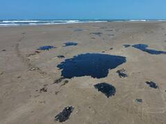 Claudia Sheinbaum purga Pemex: ordena cese de tres directivos por ocultar derrame en el Golfo de México