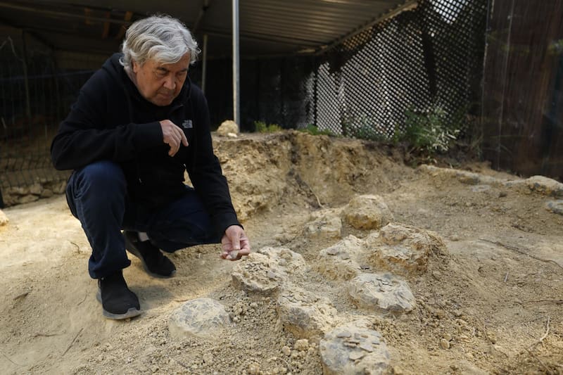 El geólogo Alain Cabot posa con un huevo de dinosaurio en el Museo-Parque de Dinosaurios de Meze, en el sur de Francia.