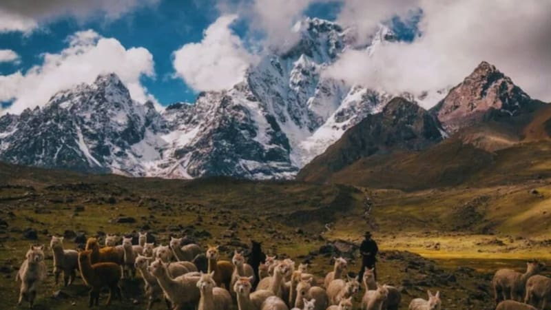 Descubren miles de especies desconocidas y cambia todo lo que se sabía sobre la biodiversidad