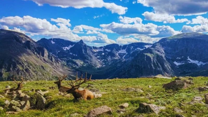 Descubren miles de especies desconocidas y cambia todo lo que se sabía sobre la biodiversidad
