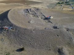 Descubren semillas de hace 4000 años dentro de una vasija: pertenecen a una flor que hoy solo sobrevive en un lugar