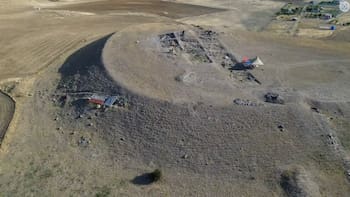 Descubren semillas de hace 4000 años dentro de una vasija: pertenecen a una flor que hoy solo sobrevive en un lugar