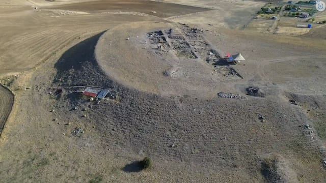 Descubren semillas de hace 4000 años dentro de una vasija: pertenecen a una flor que hoy solo sobrevive en un lugar
