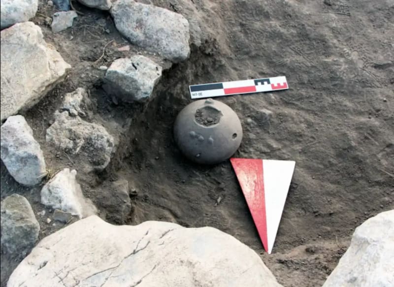 Descubren semillas de hace 4000 años dentro de una vasija: pertenecen a una flor que hoy solo sobrevive en un lugar (foto: Ministerio de Cultura y Turismo de Turquía)