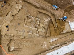 Hallazgo del siglo | Encuentran una necrópolis imperial con arte y mosaicos de antes de Cristo bajo una residencia de estudiantes