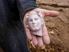 Tras años de investigación, logran reconstruir en una imagen cómo era la cara del primer ser humano de la historia