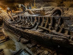 Arqueólogos se encuentran en Europa con el hallazgo de todos los tiempos: recuperan una antigüedad del siglo XI que podría cambiar la historia