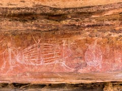 Descubrimiento arqueológico del milenio: encuentran la obra de arte más antigua de la humanidad