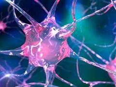 Un interruptor para las neuronas: cómo funciona la optogenética y por qué ganó un Premio Nobel