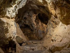 Histórico: arqueólogos descubren en China el secreto del origen del hombre