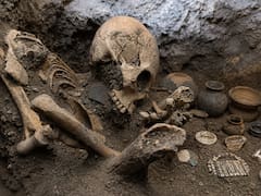 Mientras construían el tren, aparecieron 8 esqueletos sentados bajo el suelo: el descubrimiento sin precedentes que el INAH encontró en Tula
