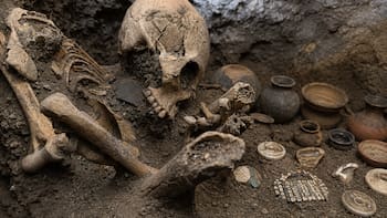 Mientras construían el tren, aparecieron 8 esqueletos sentados bajo el suelo: el descubrimiento sin precedentes que el INAH encontró en Tula