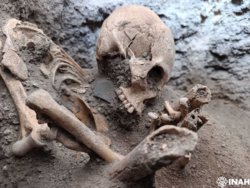 Arqueólogos del Instituto Nacional de Antropología e Historia localizaron tumbas, restos humanos y vasijas miniatura de la época teotihuacana en Hidalgo durante excavaciones vinculadas al Tren México–Querétaro.