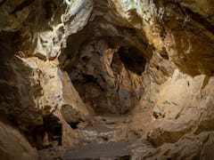 Descubrimiento sin precedentes: arqueólogos encuentran en China el secreto del origen del hombre