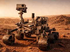 Descubrimiento sin precedentes: encontraron telarañas enormes en Marte que dan indicios de vida en el planeta