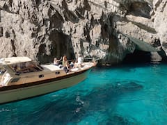 Descubrimiento sin precedentes: hallaron una “selva tropical” en el Mediterráneo que cambia la ciencia para siempre