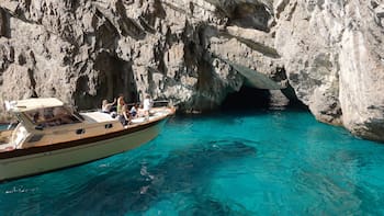 Descubrimiento sin precedentes: hallaron una “selva tropical” en el Mediterráneo que cambia la ciencia para siempre