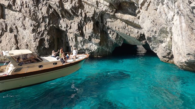 Descubrimiento sin precedentes: hallaron una “selva tropical” en el Mediterráneo que cambia la ciencia para siempre