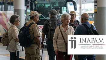 Es oficial: INAPAM confirmó hasta 50% de descuento en autobuses de estas 4 importantes empresas para viajar