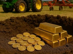 Descubrimiento del siglo|Desentierran monedas y lingotes de oro en un campo cultivado y pertenece a un solo país