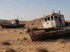 En 1960, la Unión Soviética decidió agotar dos ríos. 66 años después lo dejaron como uno de los desiertos más desolados del mundo