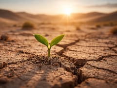 Impresionante avance tecnológico en China | Científicos vuelven tierra fértil un desierto con organismos de más de 3500 millones de años