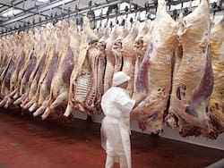 El frigorífico del creador del Paty en crisis: acumula una deuda de más de $30.000 millones