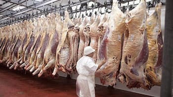 Dos grupos brasileños faenaron el 51,6% del ganado en 2025