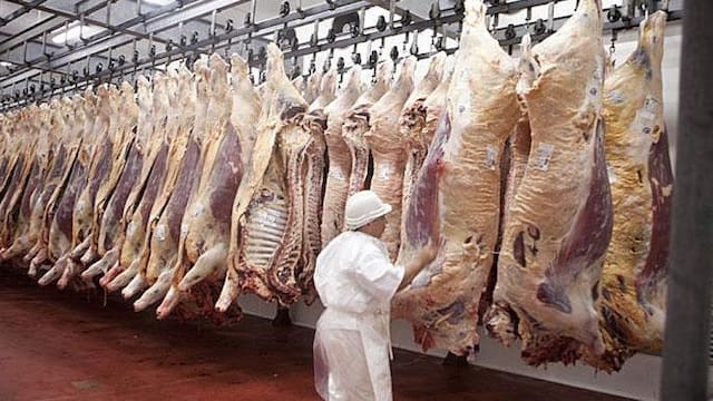 Dos grupos brasileños faenaron el 51,6% del ganado en 2025