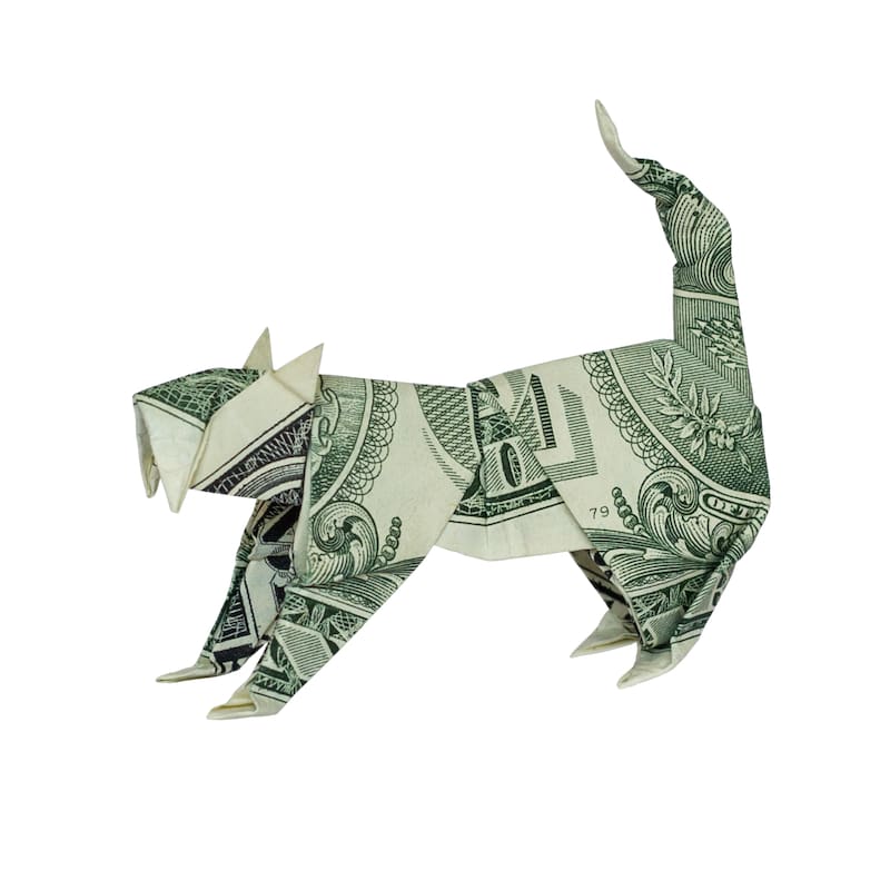 El dólar de la suerte