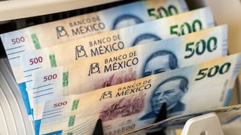 Información oficial | El SAT revela cuánto tarda en devolver saldos a favor a los contribuyentes