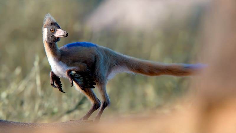 Fuente: CONICET / Gabriel Díaz Yanten.