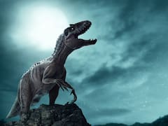 Los dinosaurios no fueron como pensábamos: Estados Unidos descubrió una evidencia de hace 150 millones de años que fuerza a reescribir la historia