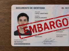 Oficial | El Gobierno embargará y dejará sin validez los documentos de identidad de las personas que incumplan esta norma