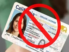 Se despide la licencia de conducir | El Gobierno ya permite llevar el registro de conducir en el celular y millones podrán olvidarse de la tarjeta física