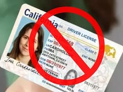 Ya es oficial | El Gobierno suspenderá todas las licencias de conducir de las personas que no demuestren ser ciudadanos legales