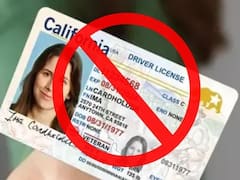Es oficial | El Gobierno suspende todas las licencias de conducir de las personas que no demuestren ser ciudadanos legales