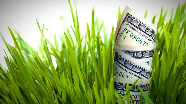 Cada vez más jugadores argentinos eligen el campo para invertir y cuidar su patrimonio
