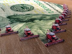 Las exportaciones del campo saltaron 63,8% en octubre: cómo quedó el saldo comercial