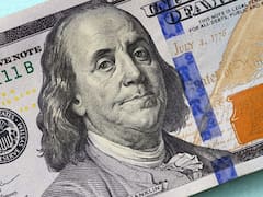 Dólar oficial cotiza estable: a cuánto se ofrece en los bancos de la City este jueves 24 de septiembre