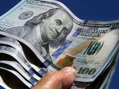 Precio del dólar hoy: a cuánto cotiza el oficial en los bancos de la City este jueves 20 de noviembre