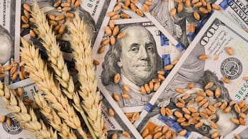 La soja a u$s 450: qué hay detrás de la suba y cómo impacta en la economía argentina