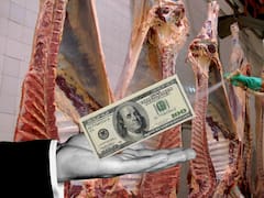 Oro rojo: la cifra histórica que festeja el Gobierno pero tiene doble filo