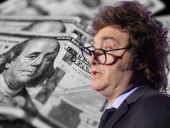 ¿Adiós a las bandas? Cuántos dólares necesita el Gobierno para liberar el tipo de cambio, según este reconocido economista