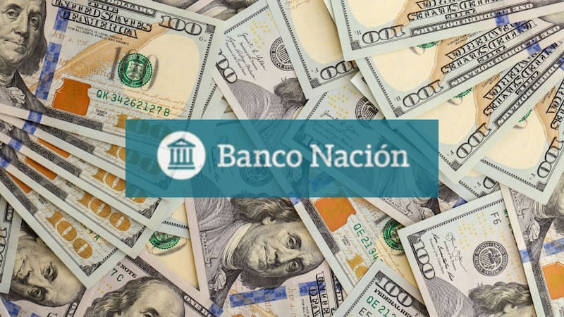 Dólar hoy | A cuánto cotiza en el Banco Nación este jueves 20 de noviembre. Foto: Shutterstock