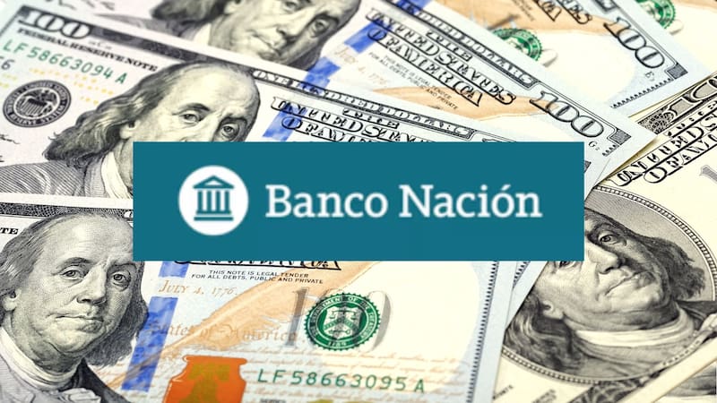 Dólar hoy | A cuánto cotiza en el Banco Nación este martes 18 de noviembre. Foto: Shutterstock