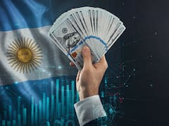 No hicieron falta dólares para ganar: la estrategia que rindió más en el primer semestre y qué ver para el segundo