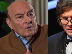 La dura advertencia de Cavallo a Milei sobre el dólar en calma, las reservas récord y la baja del riesgo país: “No debe entusiasmarse...”