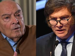 La dura advertencia de Cavallo a Milei sobre el dólar en calma, las reservas récord y la baja del riesgo país: “No debe entusiasmarse...”