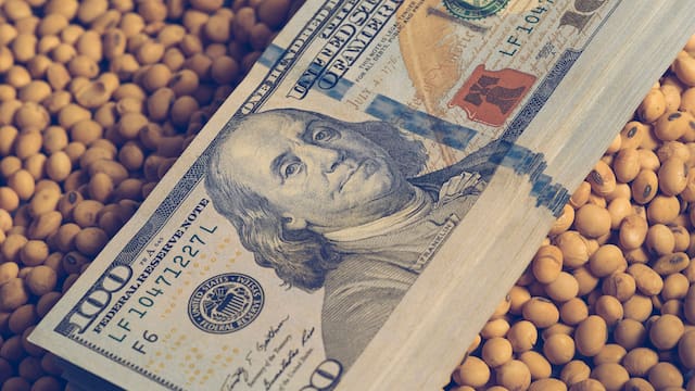 Cuántos dólares del campo ingresarán en el verano y qué impacto tendrá en el mercado